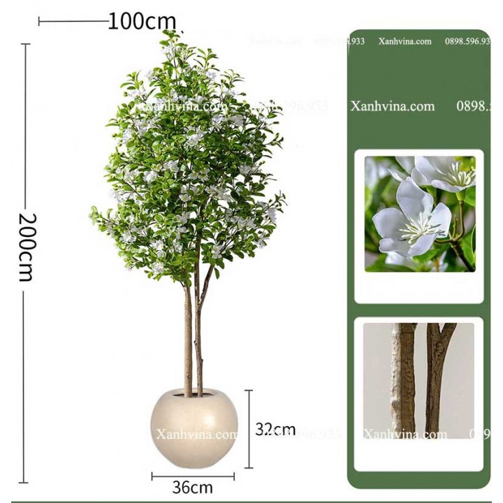 cây hoa sim giả